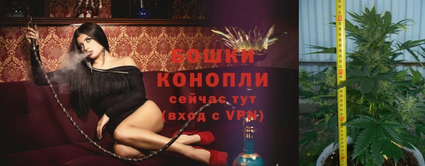 твердый Покровск