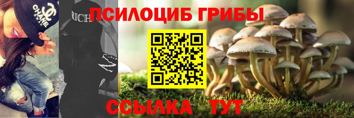 Галлюциногенные грибы Cubensis  Вход с VPN  Алапаевск 